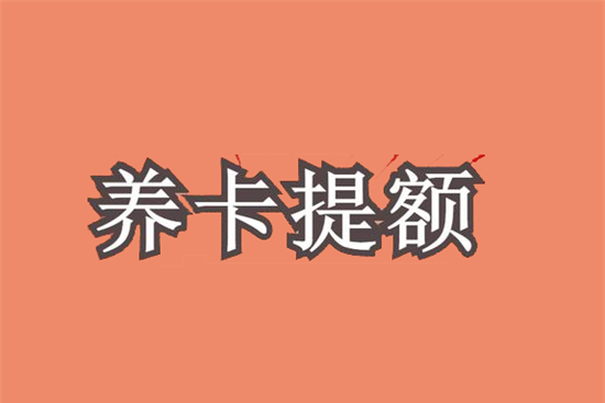信用卡25+3+1提额技巧-第2张图片-南京拉卡拉POS机办理